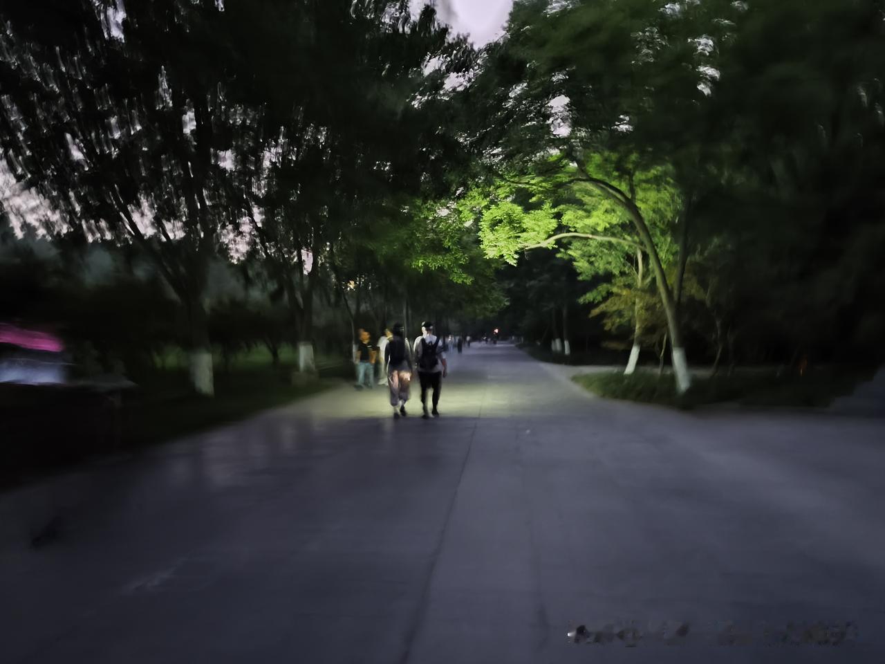 不知朋友们晚上徒步明孝陵是喜欢带手电筒🔦还是戴头灯💡呢？