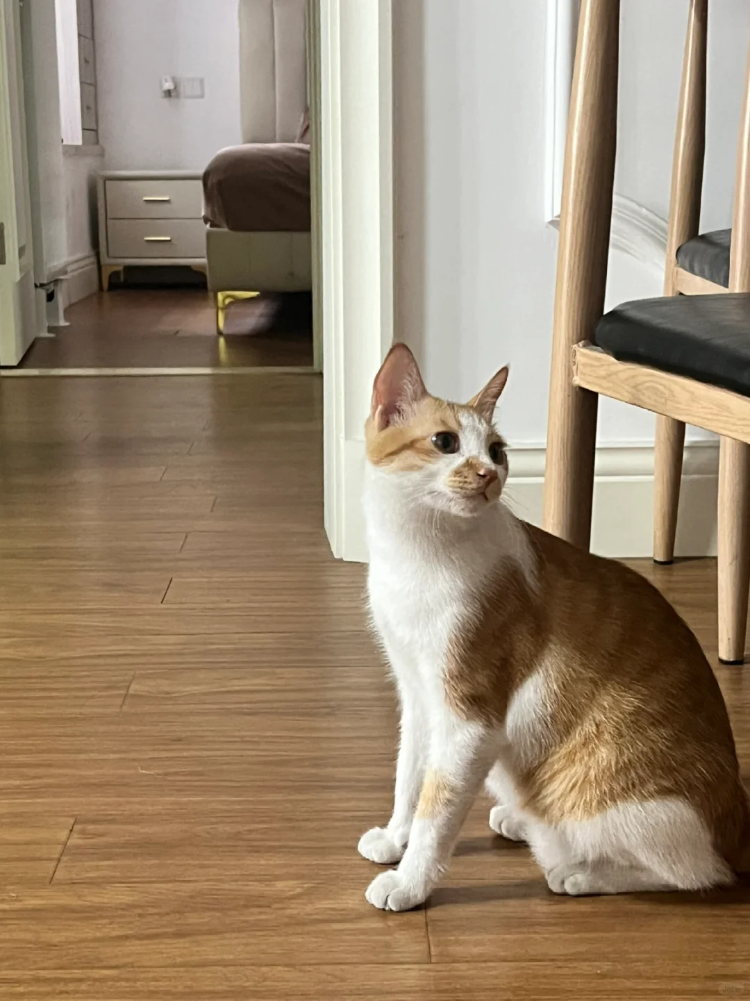 怀民表情真丰富