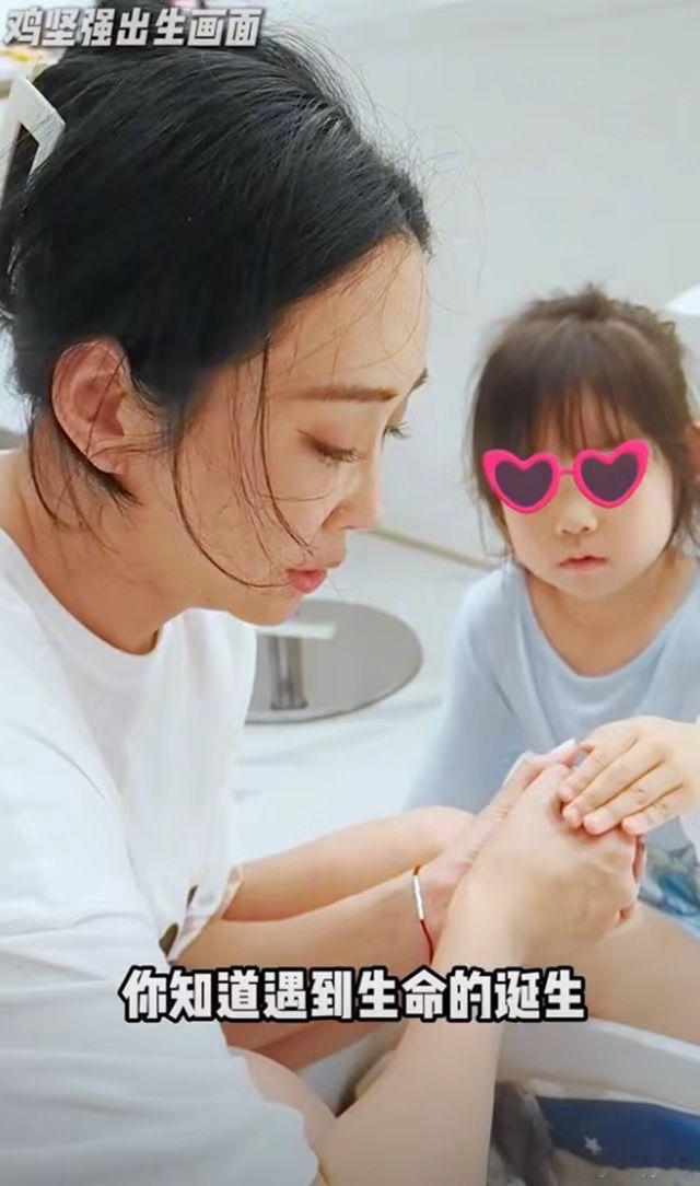 杜若溪跟女儿养鸡当宠物  杜若溪人生第一次送鸡挂急诊  杜若溪给小鸡搭了一个鸡窝