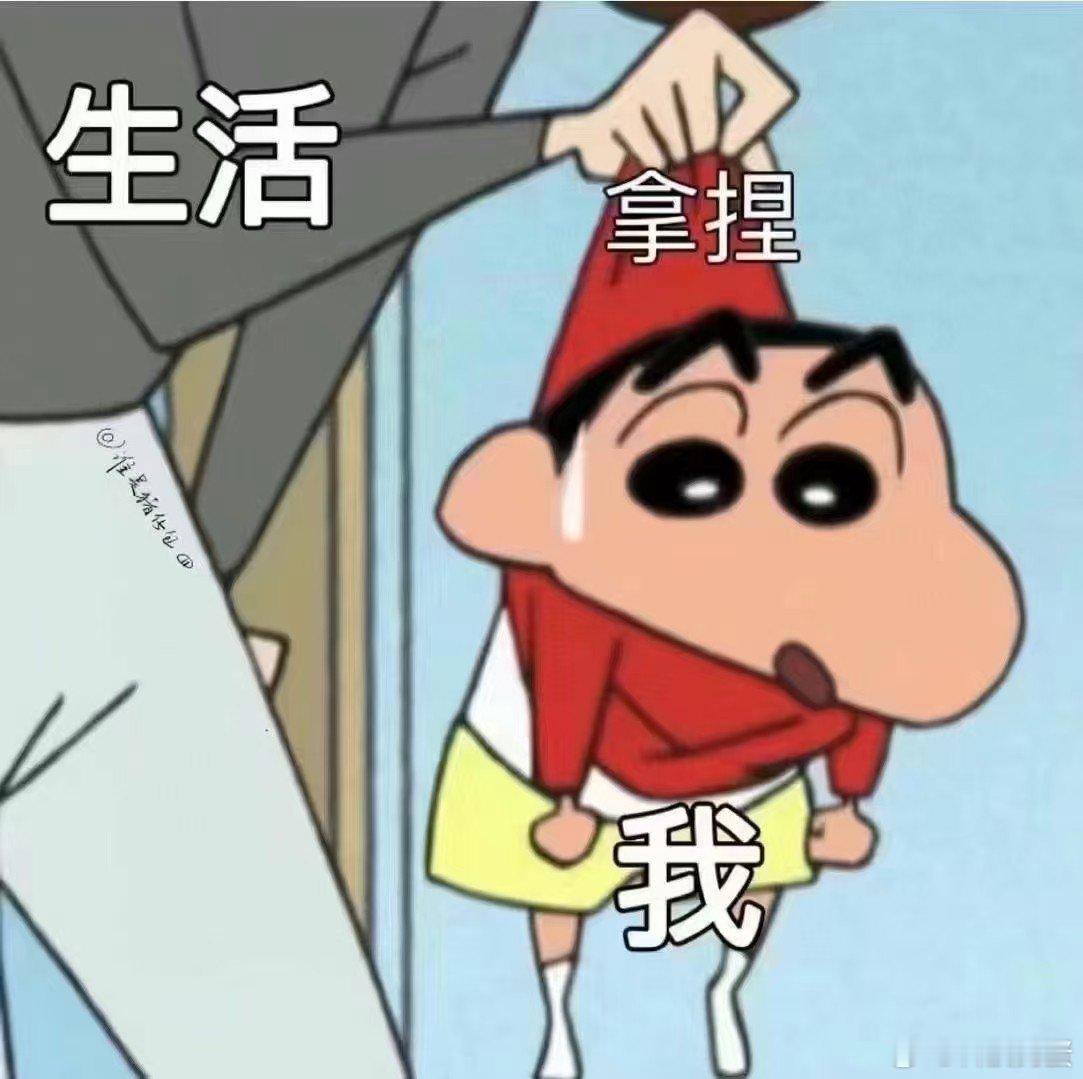 上海人是懂拍卖这事藏不住了[doge]还是上海人会玩，这拍卖会真是什么稀奇古怪的