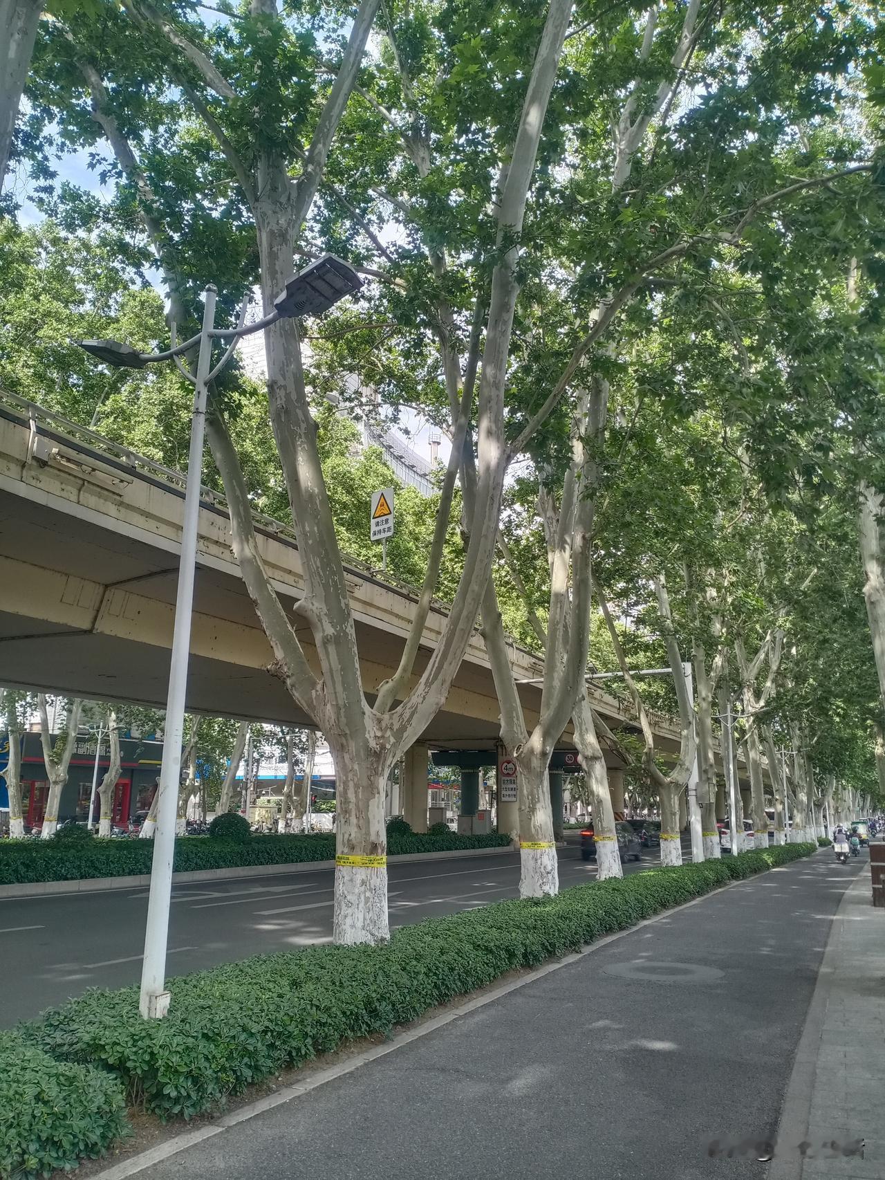 成熟的重要标志，是停止过度在意别人如何看待自己。
