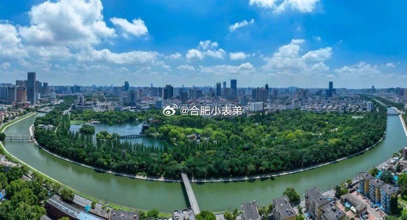 喜讯！荣膺长三角“典型”！[赞啊][赞啊][赞啊]11月16日，第四届长三角国际