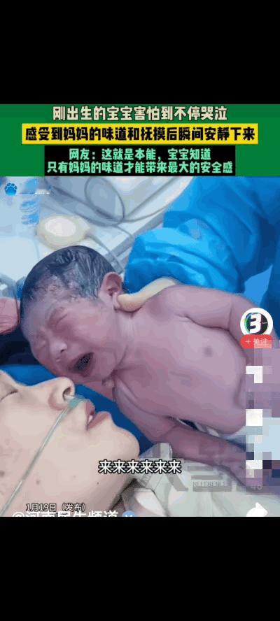 刚出生宝宝哭到脸通红，一贴妈妈脸就安静！这才是刻进DNA的安全感

谁懂啊！山东
