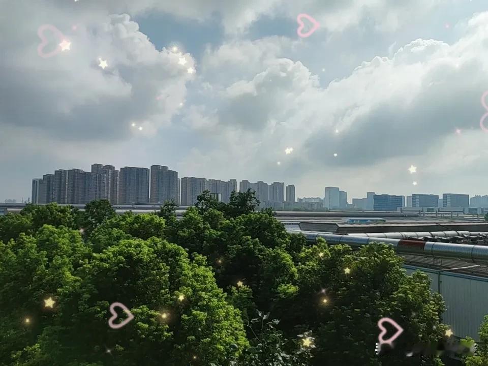 晒图笔记大赛今天热得简直离谱，完全进入蒸煮模式，出门没几分钟就汗流浃背。想想台风