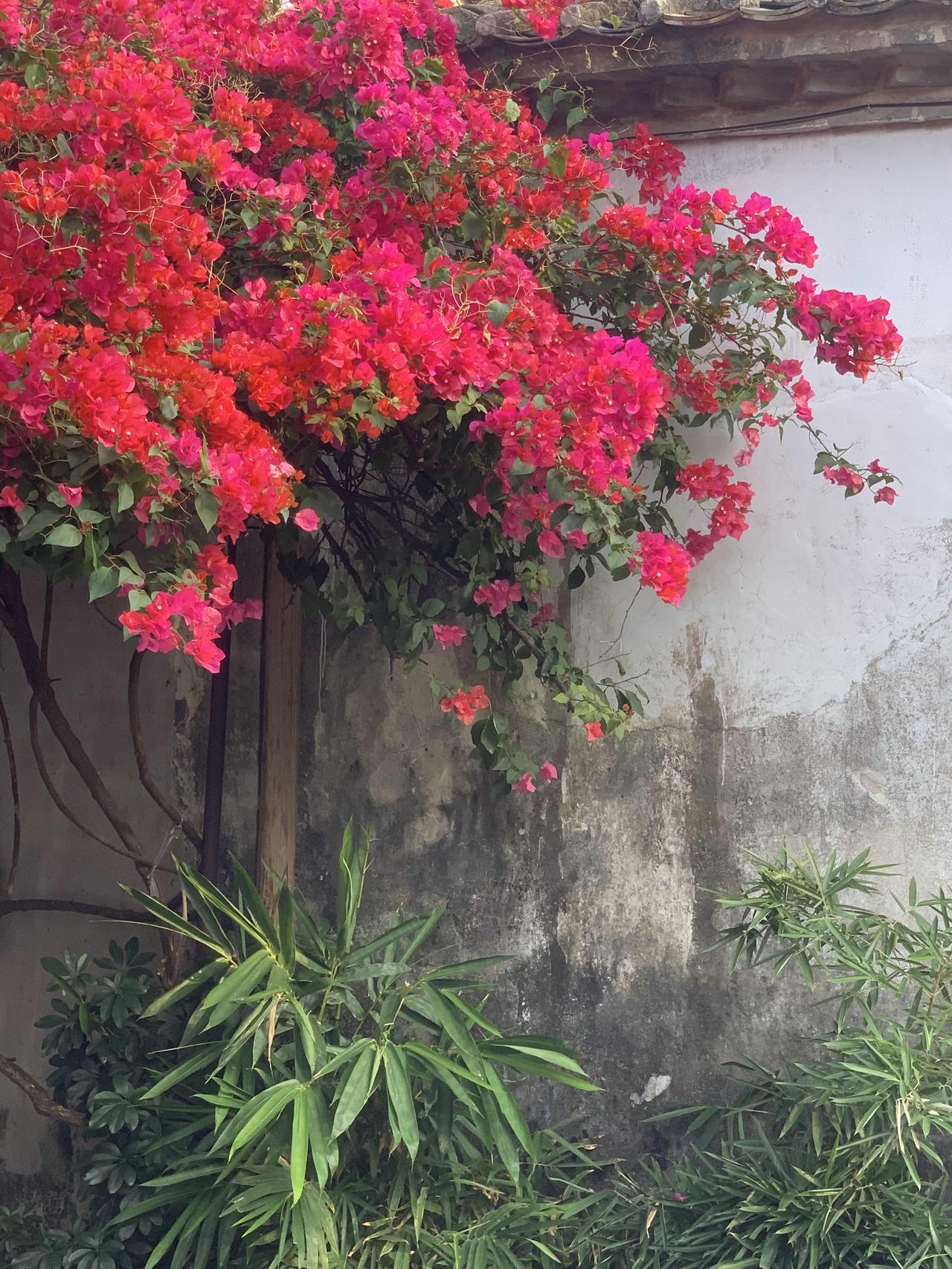 上联：园清树静花添彩
下联：院雅风轻月增辉