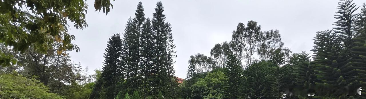 泱泱中华，风物无双：十大名酒、十大名茶、十大名烟，一览天下至味
 
泱泱华夏，千