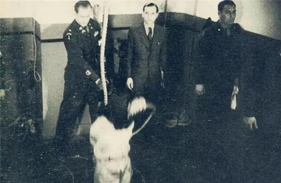 铁证如山！1946年战犯竟当庭狡辩：没发生过南京大屠杀？
1937年，淞沪会战爆