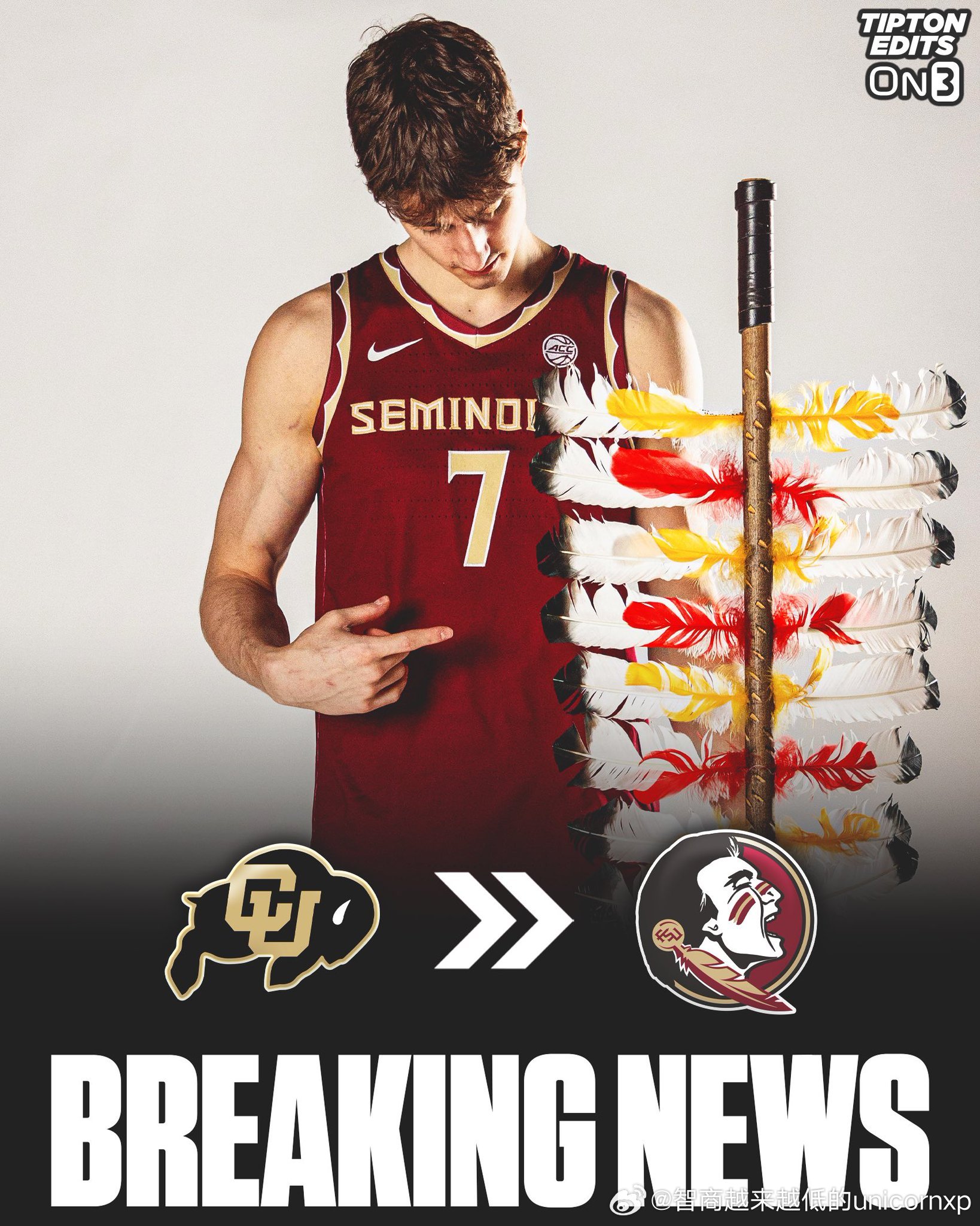 科罗拉多大学内线Sebastian Rancik承诺佛罗里达州立大学NCAA