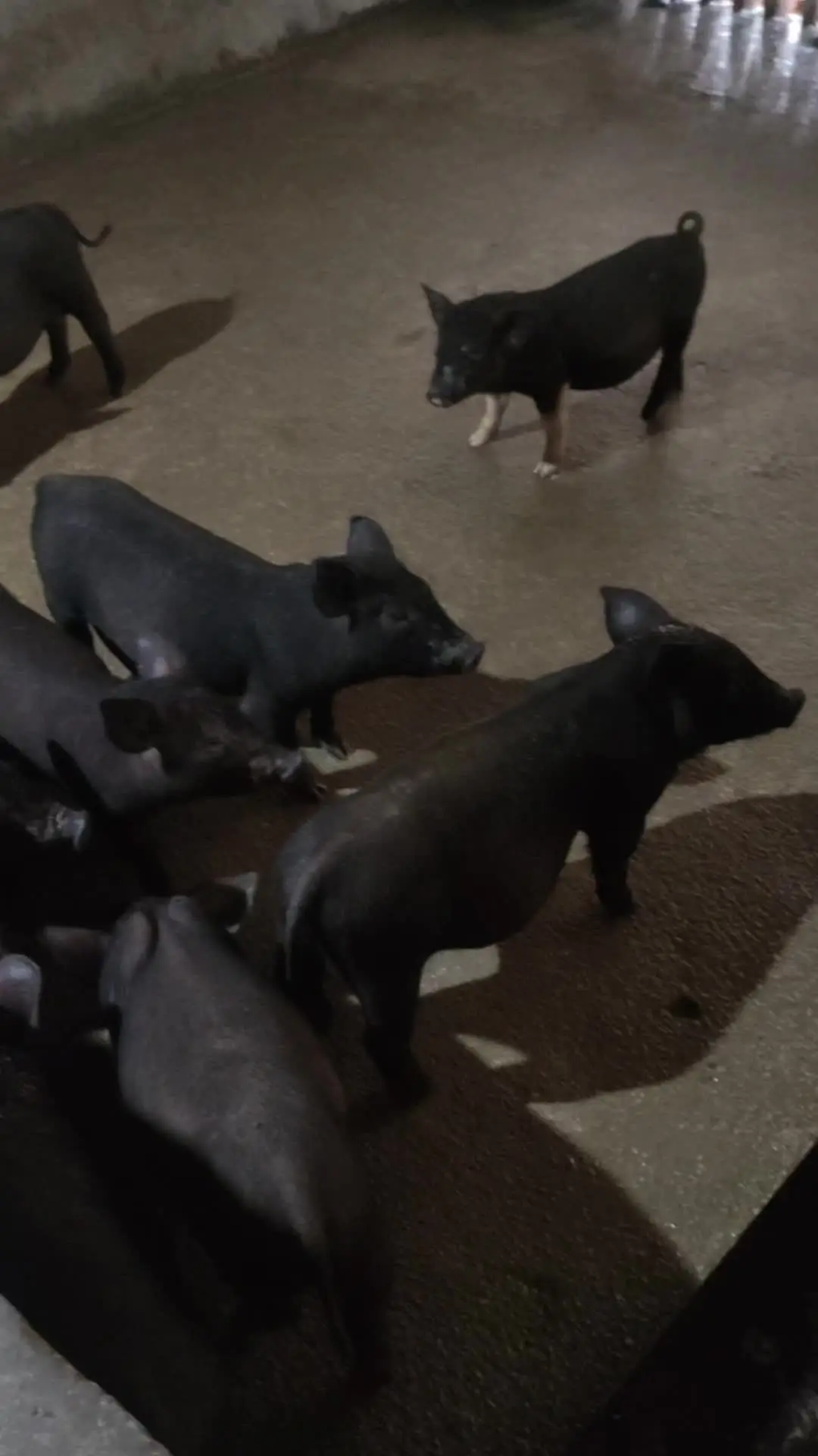 两手空空 才能无限拥有