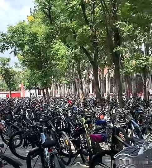 放眼望去密密麻麻，停放着几百辆学生自行车，各式各样，价格从几百元到上千元不等，满