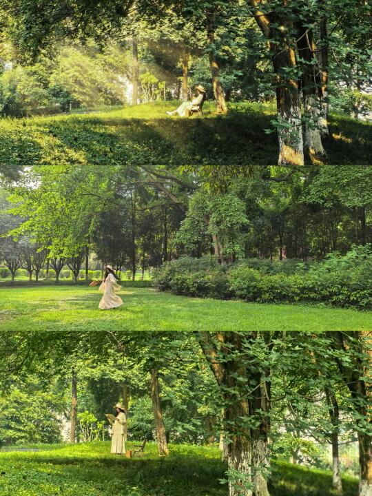 夏日森林｜家门口的公园也能拍电影感大片儿