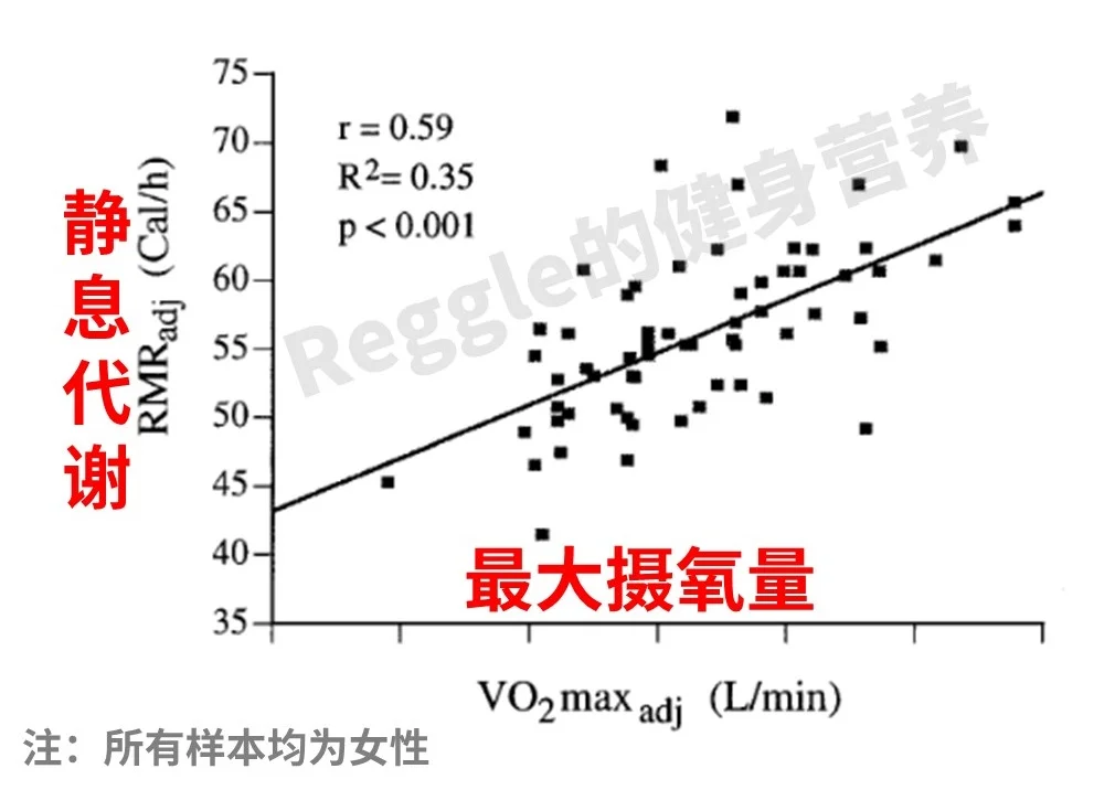 回答了一个问题：代谢低的女性要不要做有氧