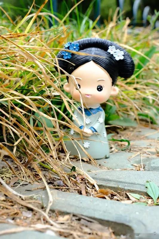 刘诗诗饰演的角色中，若曦最让我印象深刻。在《步步惊心》里，她将若曦前期的灵动俏皮