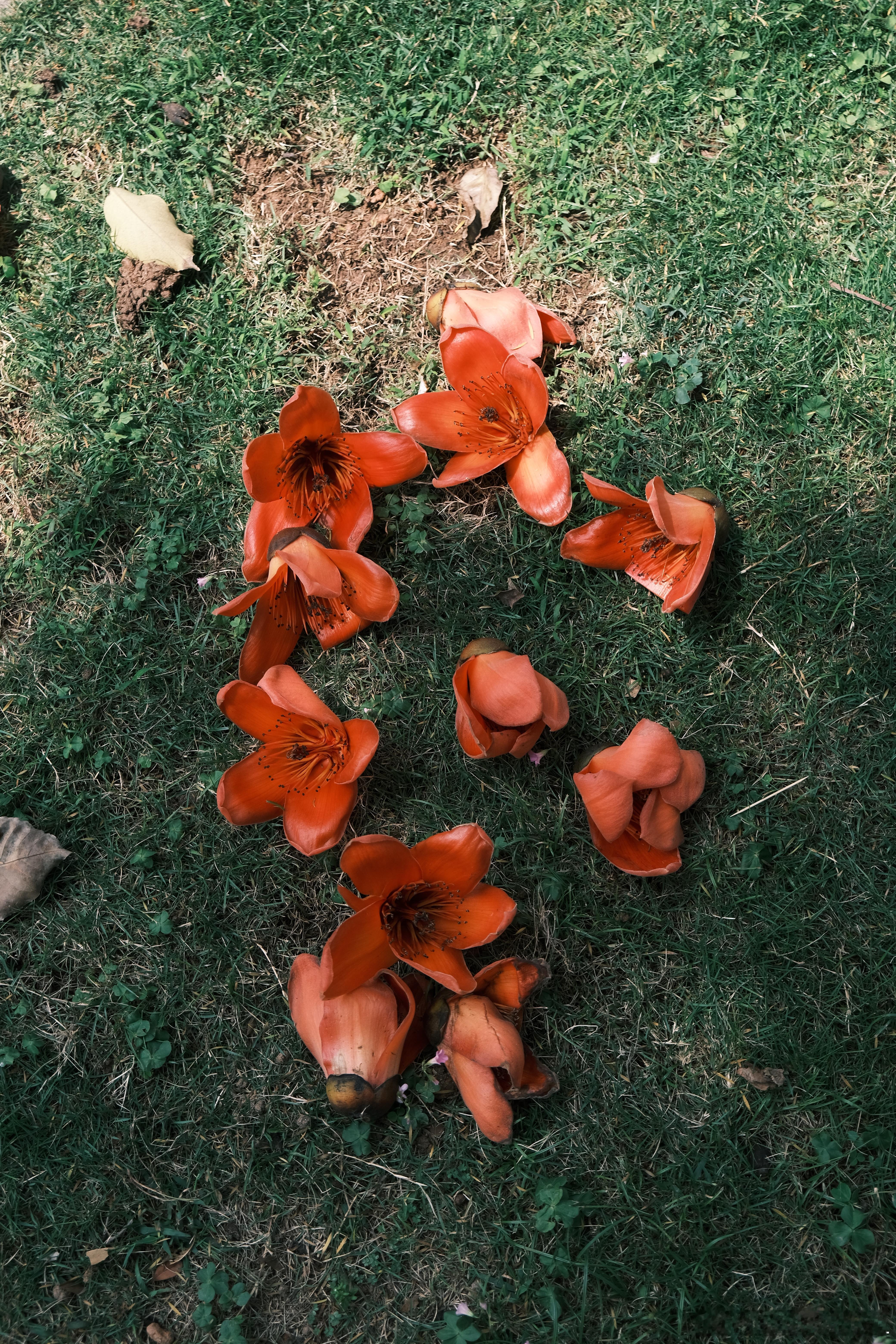 其实大多数人的痛苦和焦虑都来自于欲望和能力不匹配。人生除了生死，其实哪里还有真正