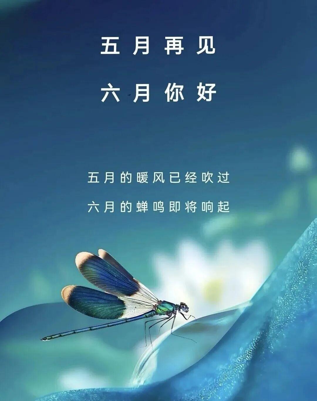 有缘常相聚，有情不相离。惜当下所有，守岁月长久。遥送满心祝福，愿挚友岁岁平安，康