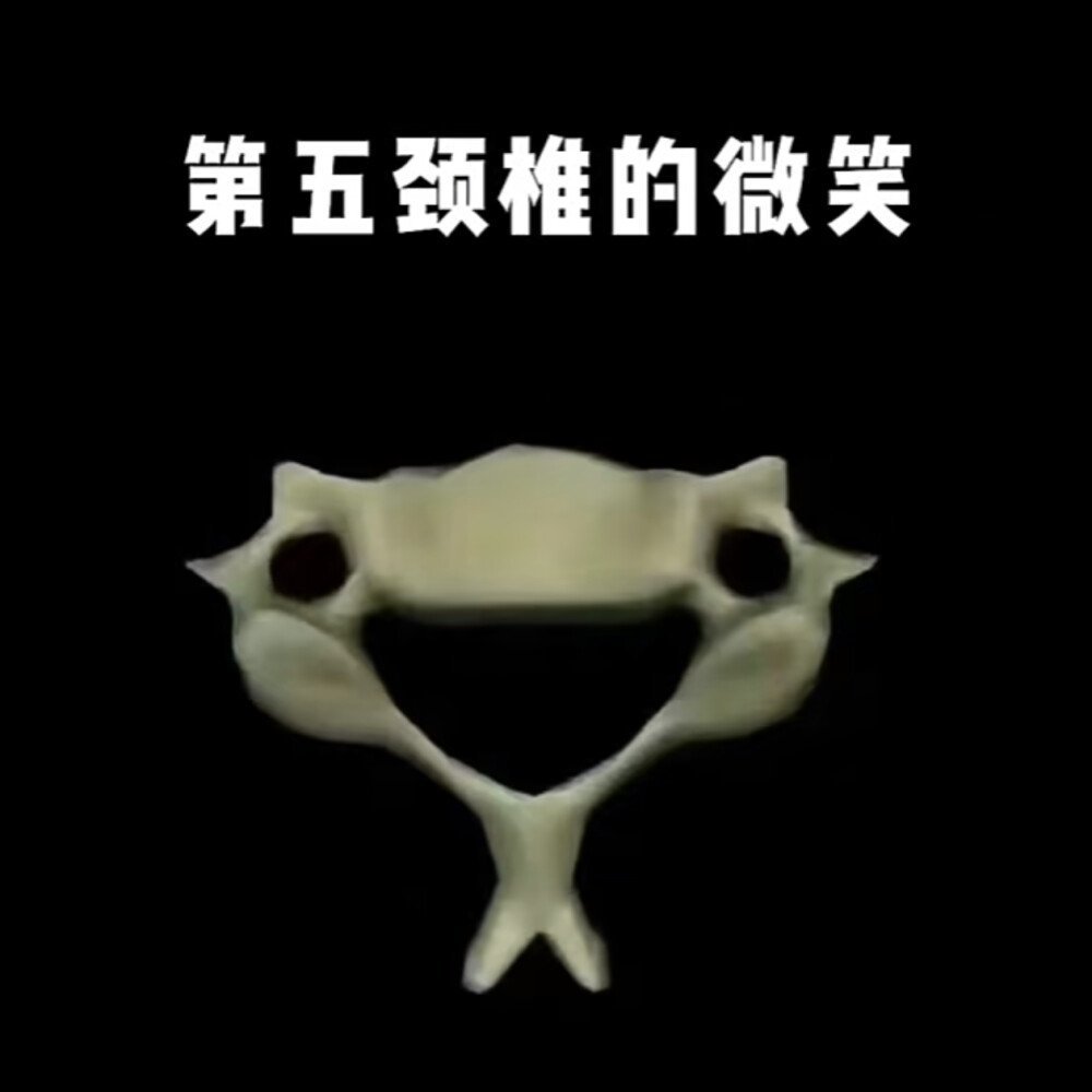 不会打方结女博士曾在各个科室轮转翻车了，前面出了一个参加过四级手术，现在来个不会