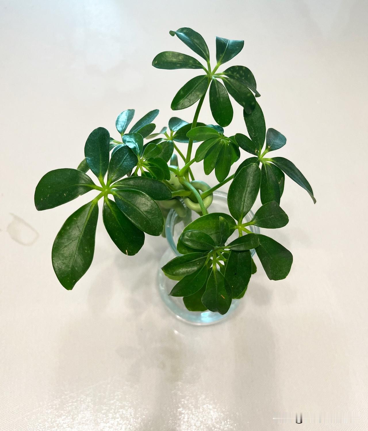 曾仕强说：“你花出去的钱，不管是买东西、随份子，哪怕是被骗走的，只要你掏钱的时候