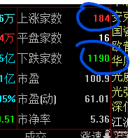 天天这样算不算熊市 