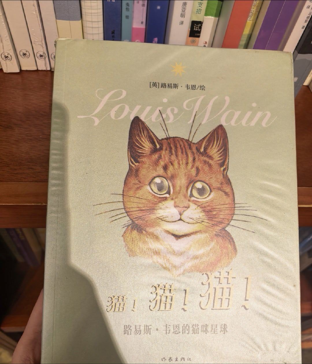 这周末看到的一些猫猫 