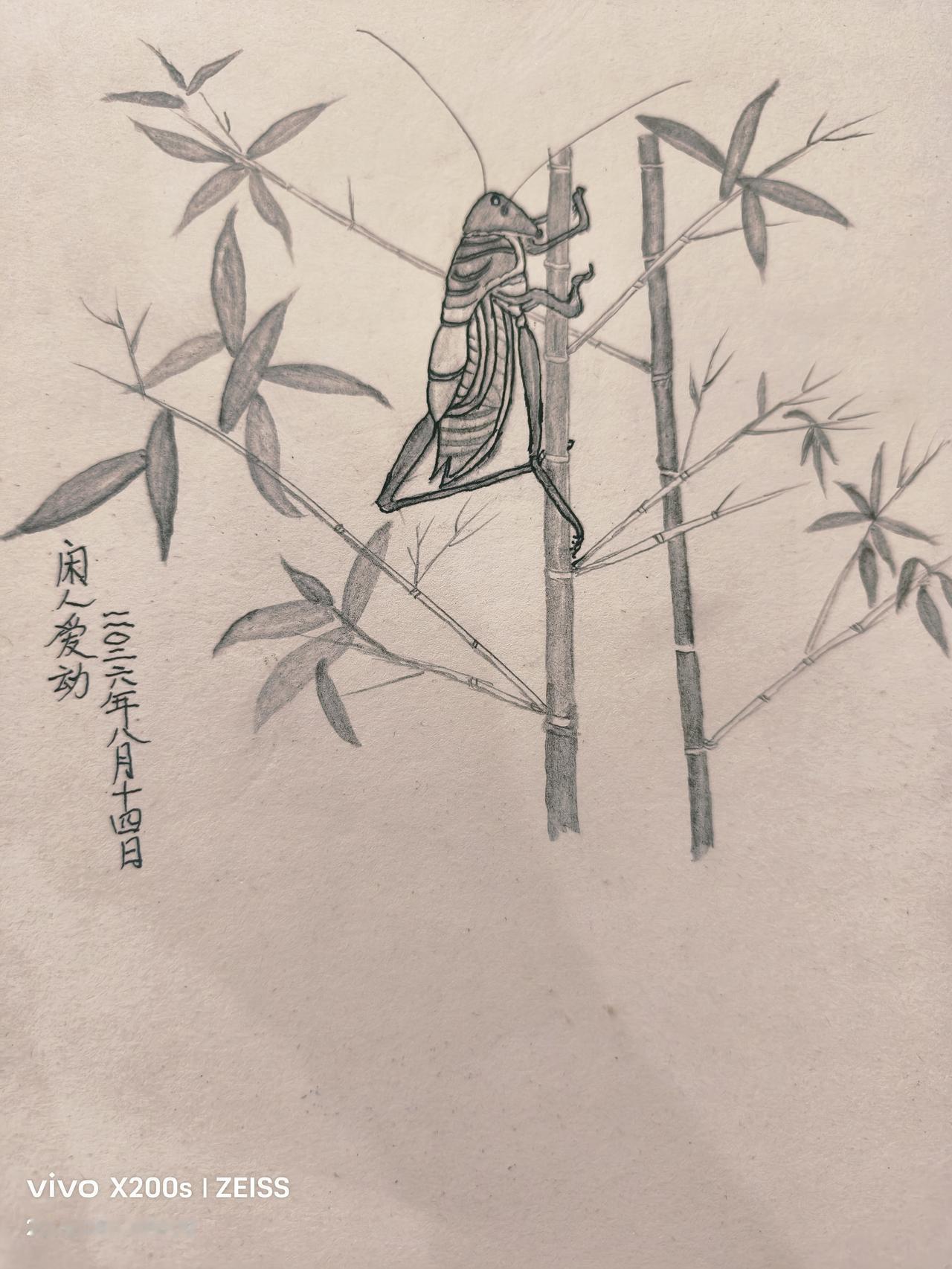 晒图笔记大赛谁能说出，闲人爱动所画图中的昆虫叫什么吗？