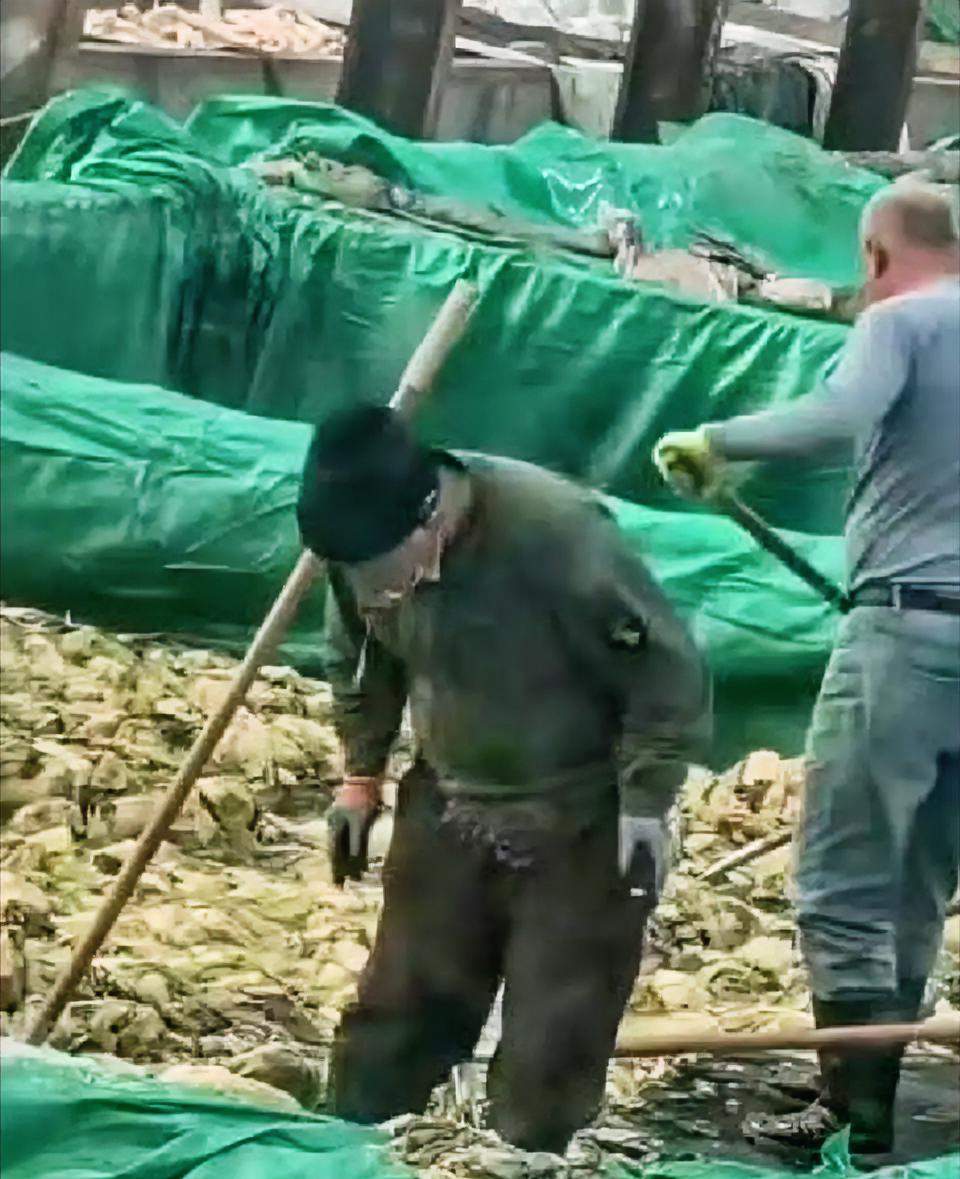 看到“老坛吐痰酸菜”再上热搜
我恍然大悟！
表面是工人素质差，实则这块招牌已彻底