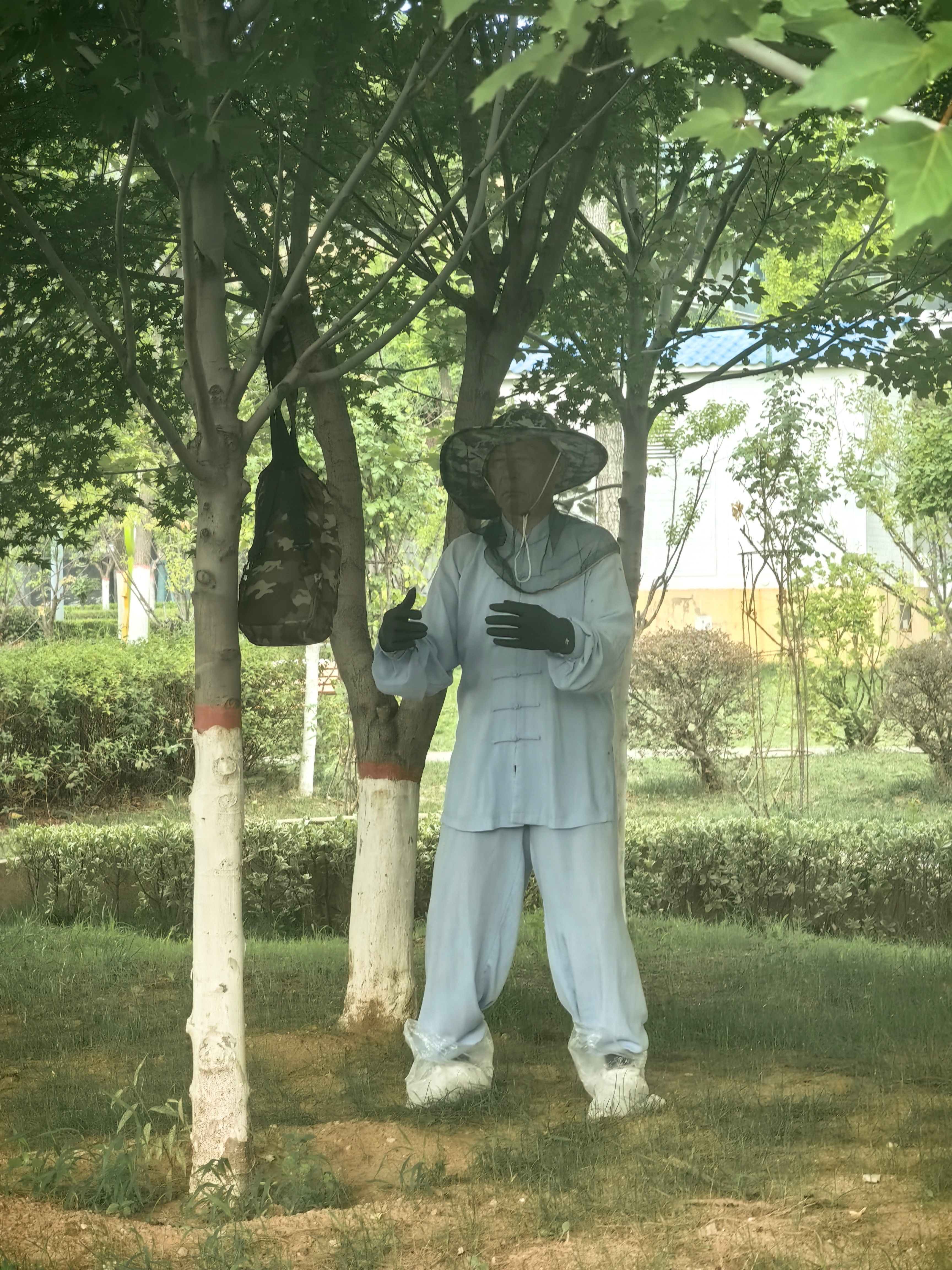 秦岭笑谈[超话]银杏公园，早上晨练吐纳的大爷，吸收天地日月精华，这个一动不动的境