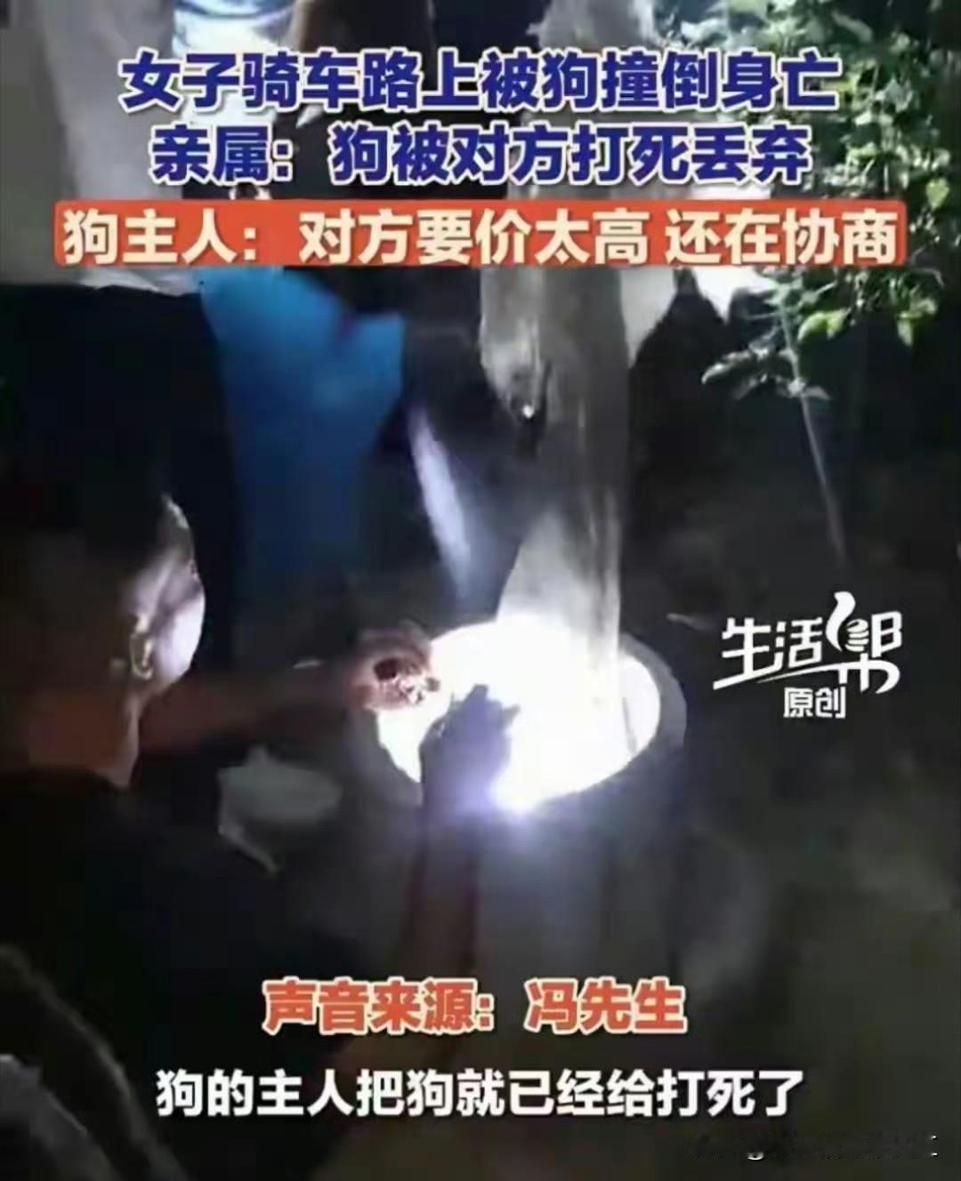 女子骑行被狗撞倒身亡，丈夫突发脑干出血至今昏迷，狗主人为了躲避责任将狗打死丢弃