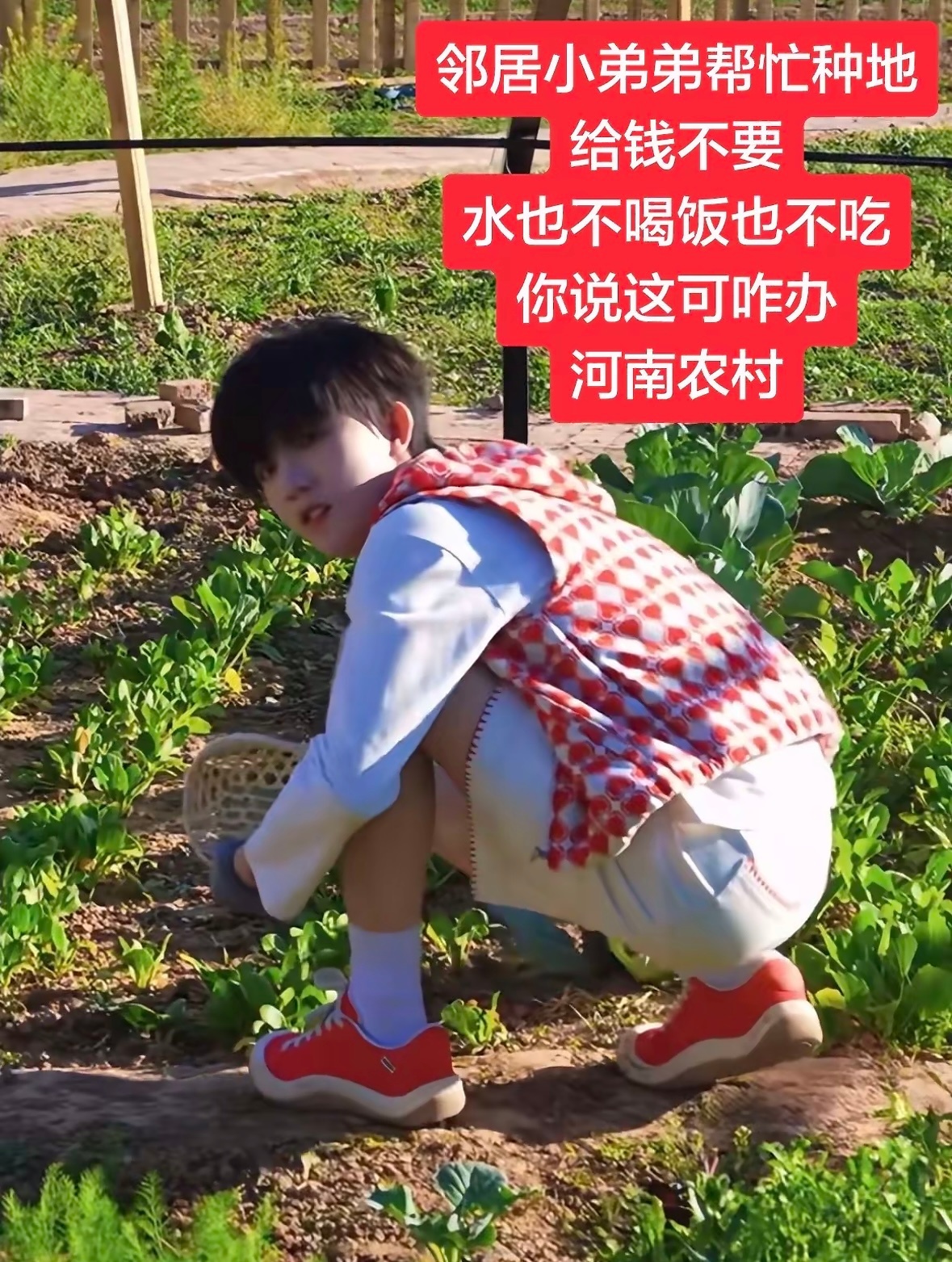 苏新皓来我家 ​​​