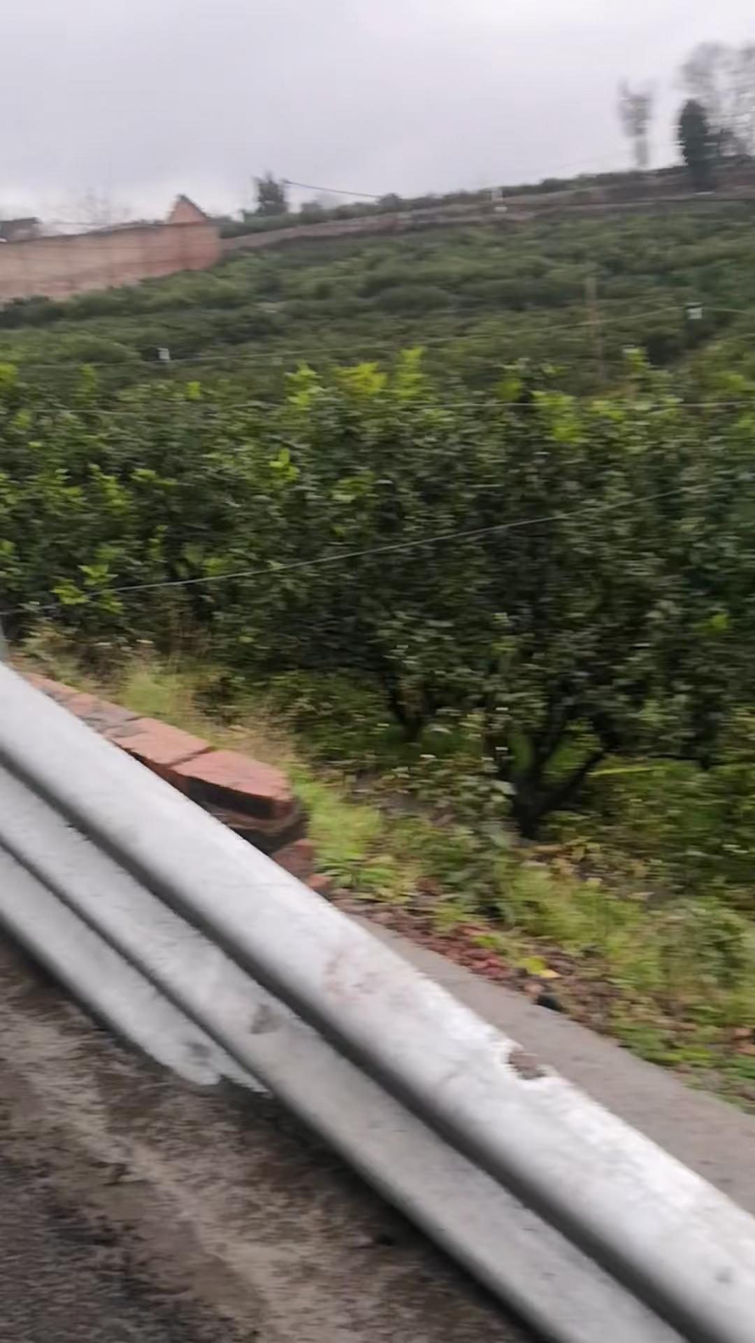 美丽的家乡山清水秀 车技不过关少走云贵川 家乡风景优美空气清新 大山深处的家乡开