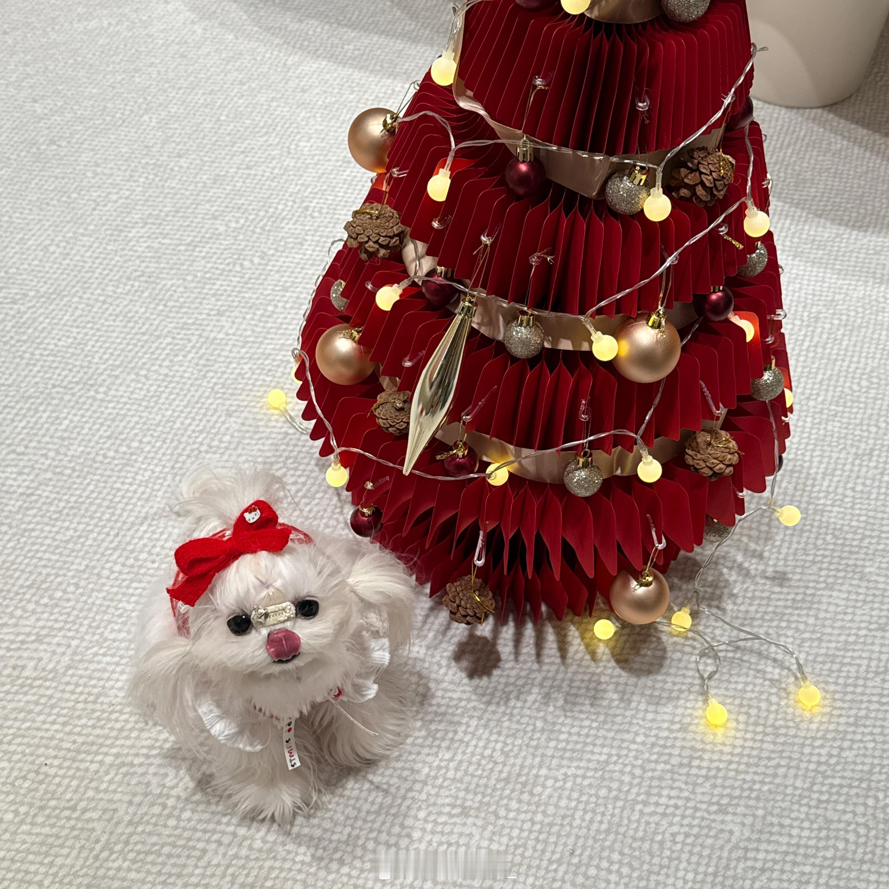 🎄 
