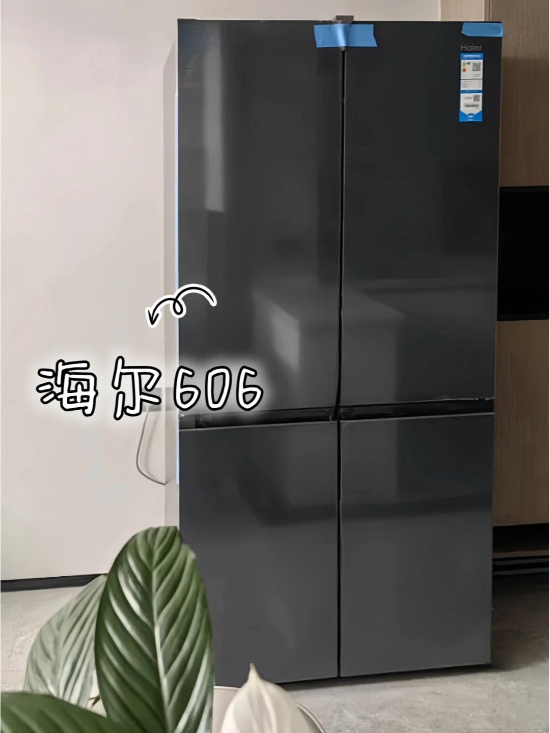 海尔606，谁用谁夸！