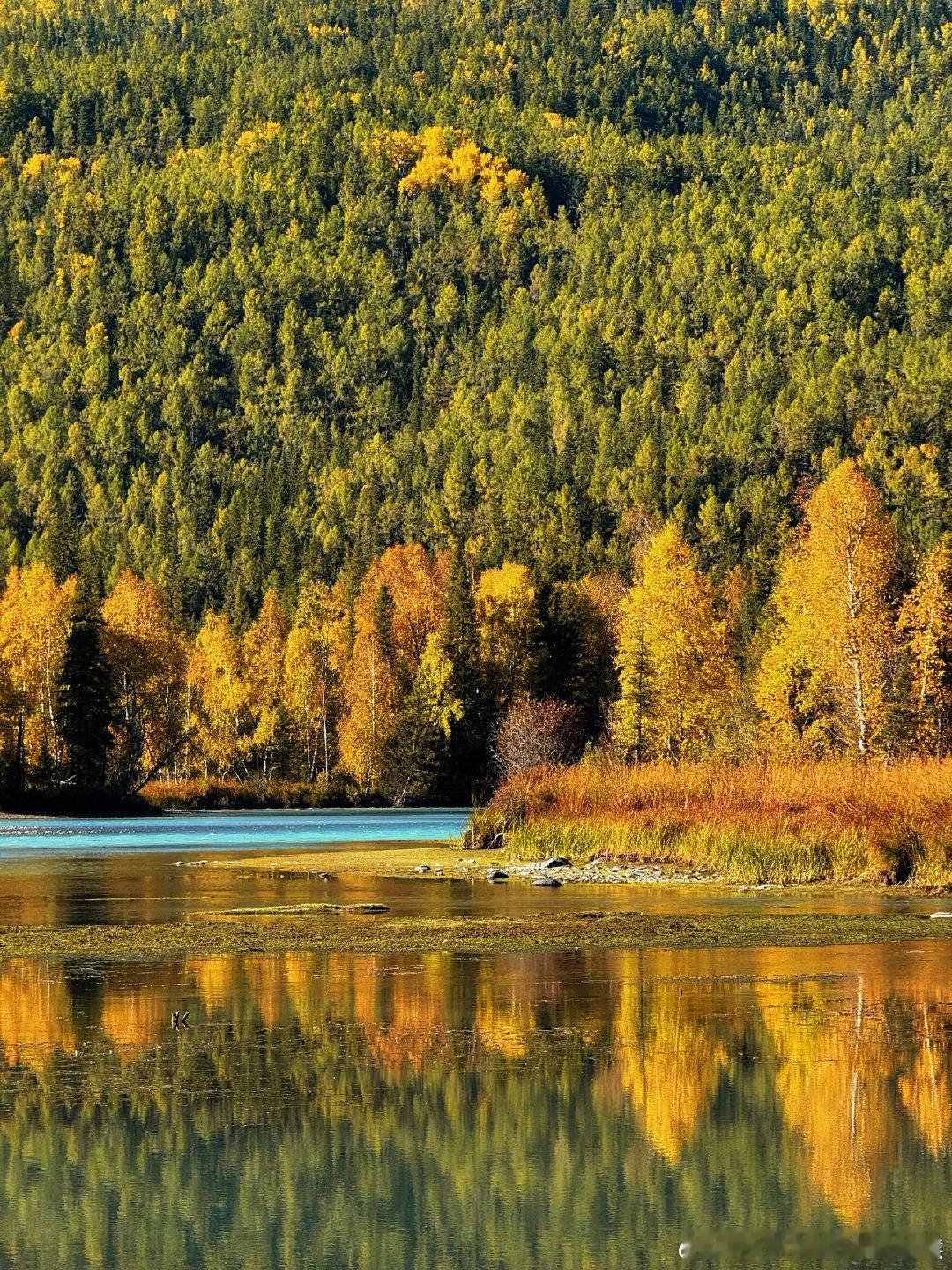 作为热爱旅行与自驾游的人，走过川藏线、青藏线、滇藏线，穿越西北大环线、甘南秘境、