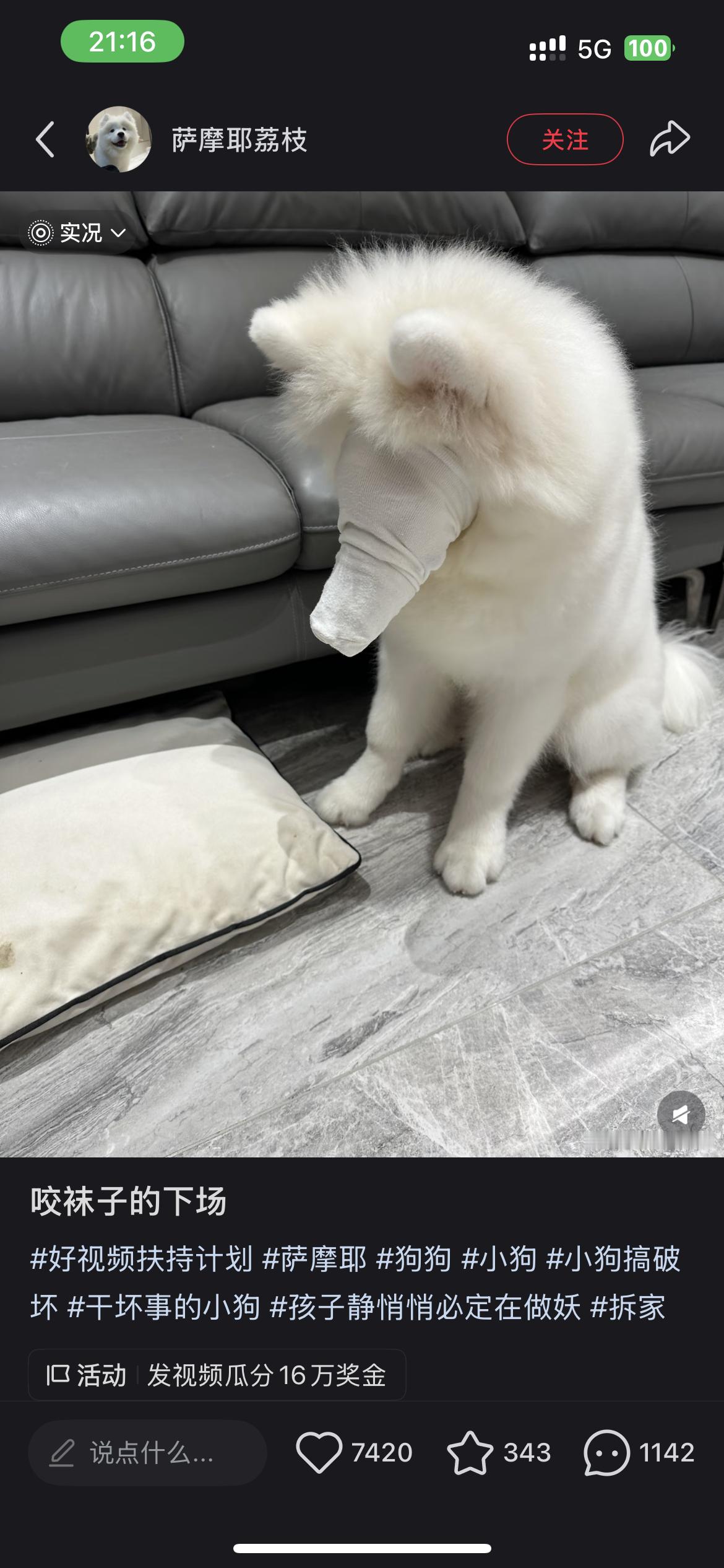 我笑喷了 