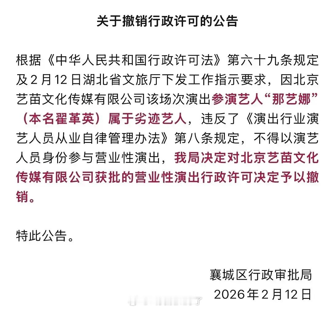 那艺娜被定为劣迹艺人了，她是怎么火起来的啊？那艺娜劣迹艺人