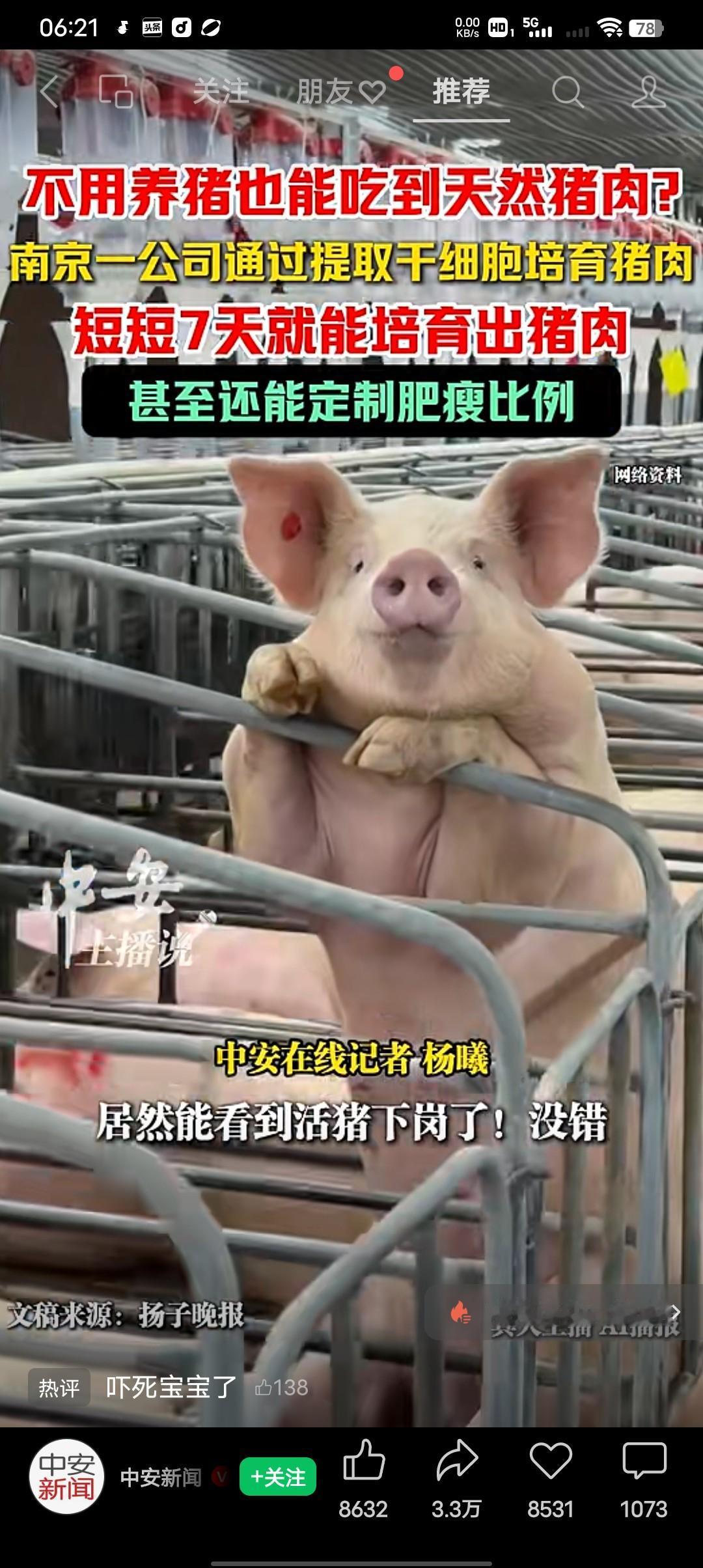 有生之年居然能看到活猪下岗了，没错！
5月11日据扬子晚报消息，不用养猪杀猪就能