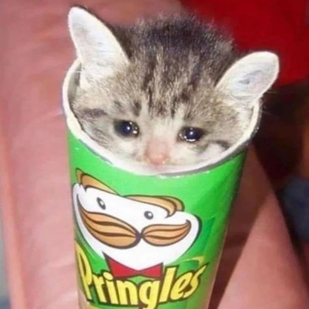 。 ​​​