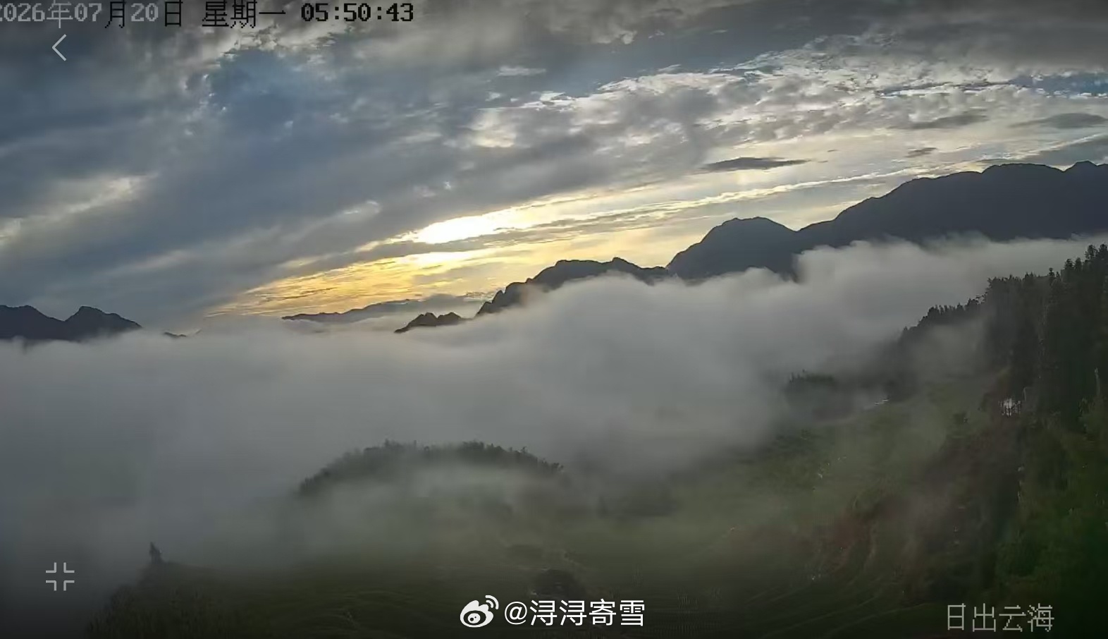 一场大雨过后的次日，日出与海都很美云和梯田_