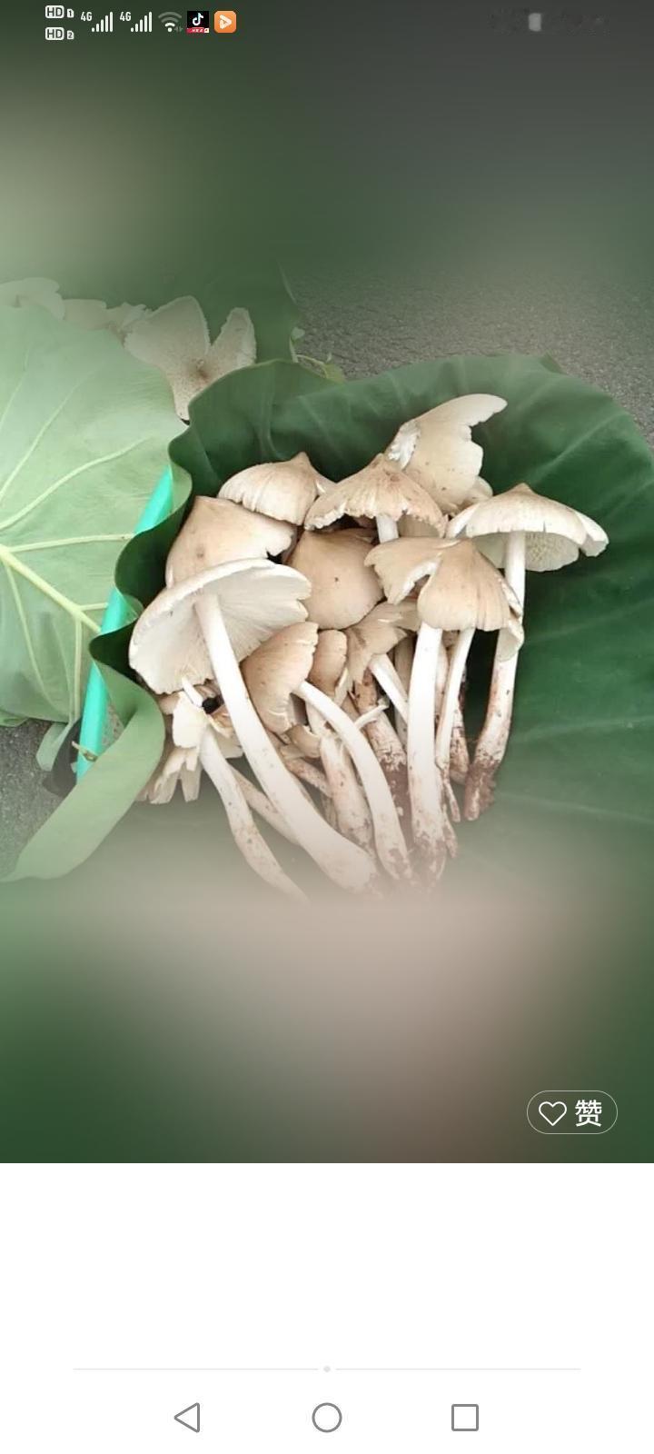 她家的人愿来就来，不来拉倒。不来就说明她家没把姑奶奶当回事。反正我舅舅已经不在了