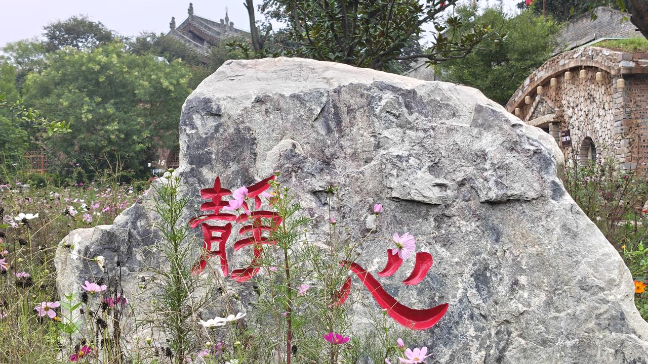 作者加速成长计划总在为过去的错误纠结，却忘了承认错误，才是破局的开始。放下执念，