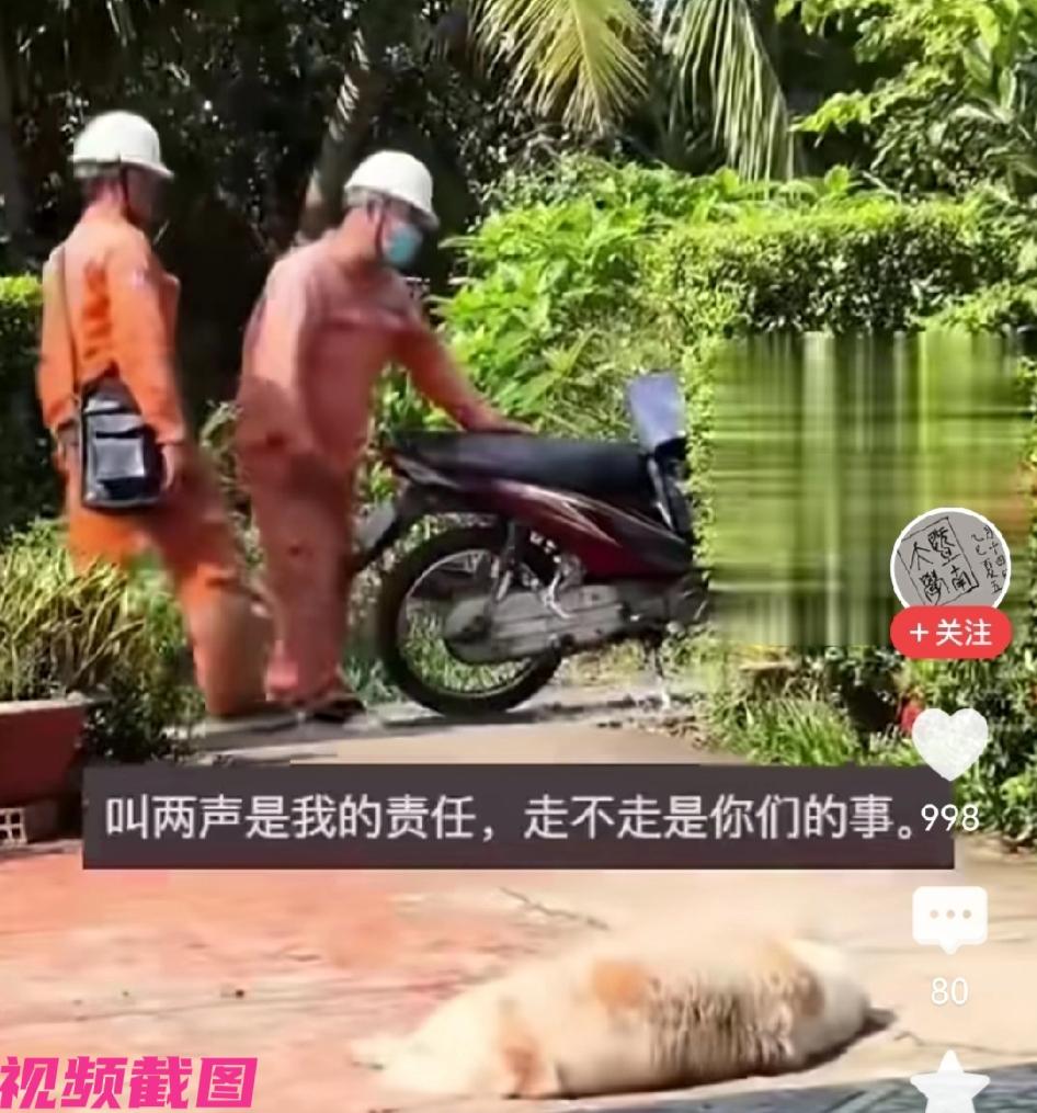 广东惠州有一家的狗狗，狗狗躺在家门口，一看有人经过，狗狗没有起身而是躺在地面上，