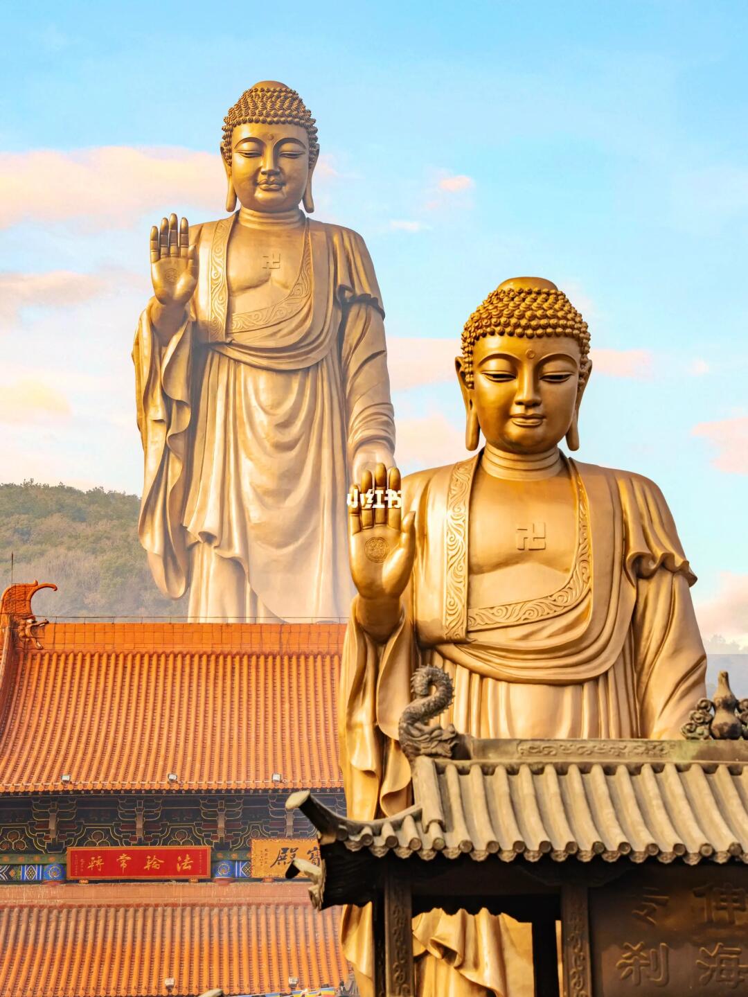 新年刷到灵山大佛就代表有好事发生了🙏🙏