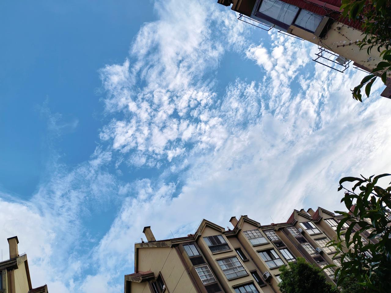 夏日的晴空，
没有边界。
你站在风里，
就成了这蓝调画卷里
最鲜活的一笔。