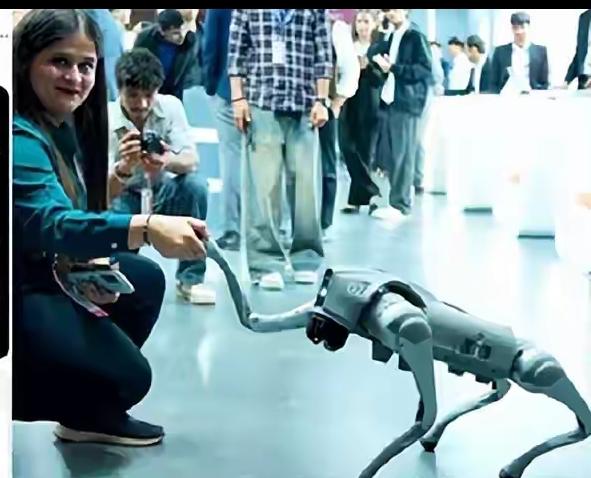 三哥又翻车了！买中国机器狗冒充自研，被当场抓包！

新德里AI峰会上演大型打脸现