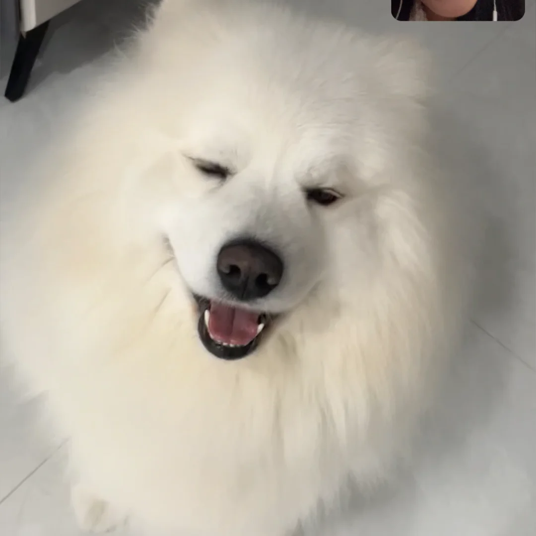 帮我看看我孩子能当童模吗
