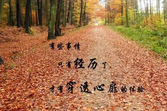 #秋天景色，用一句成语表达#中国🇨🇳、中华民族，“春华秋实”真写意，心静亲缘