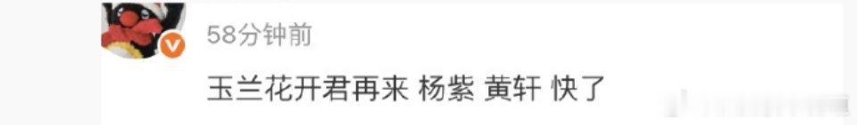 玉兰花开君再来杨紫签没签都没人能确定（在线@ 杨紫本人亲自爆料），黄轩都直接进了