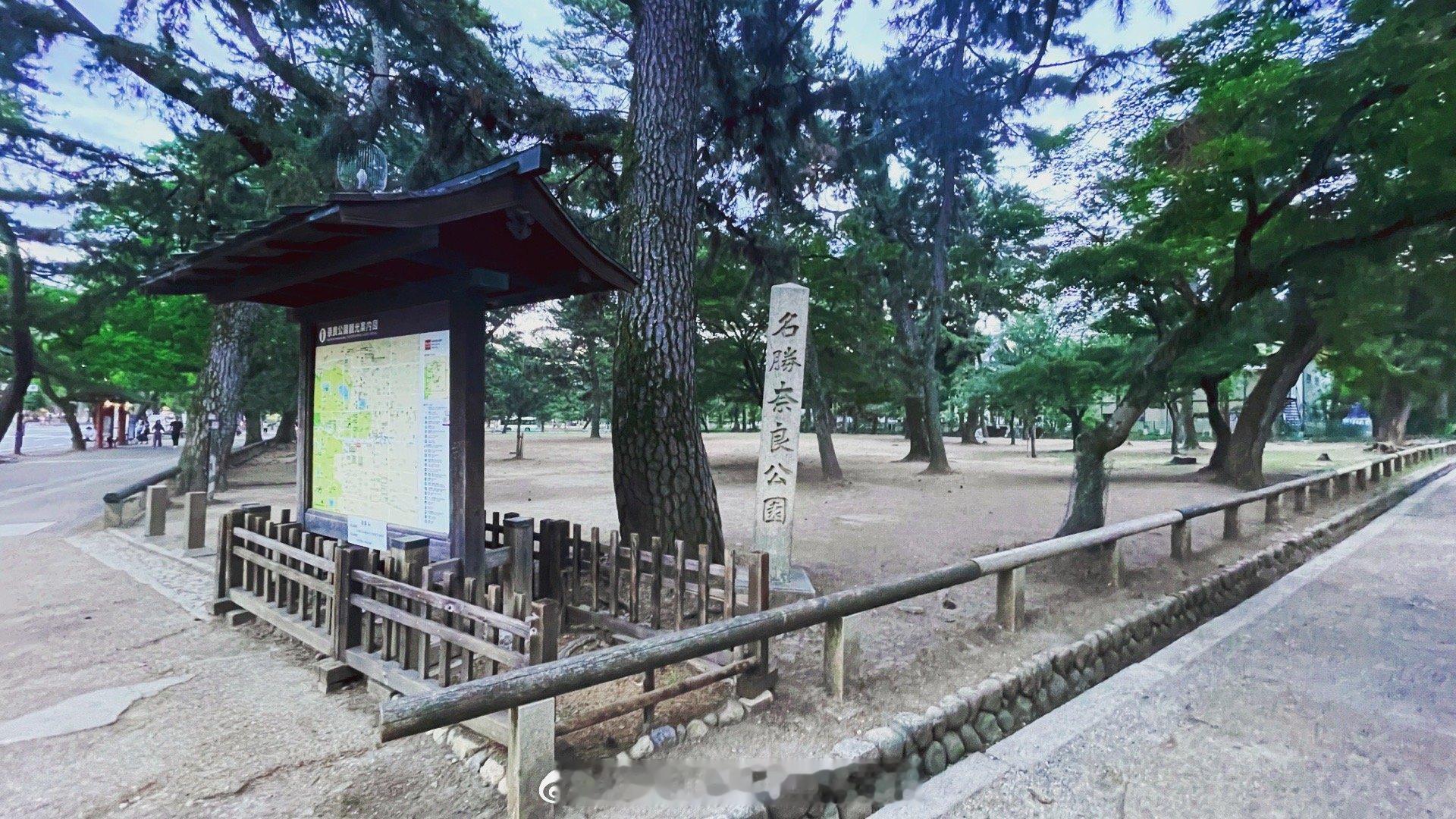 原本奈良公园是不在我们行程之中的，在好兄弟冬哥的大力推荐一下绕道前来，刚看到图1