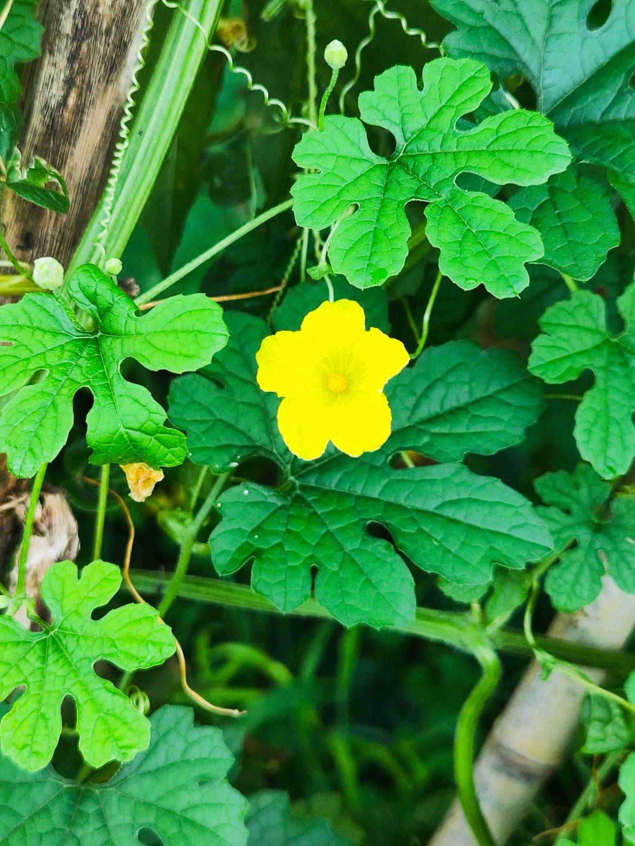 我的今日状态：🏃‍➡️运动
我这里的天气：🌤️多云

今日多云天气，温度23