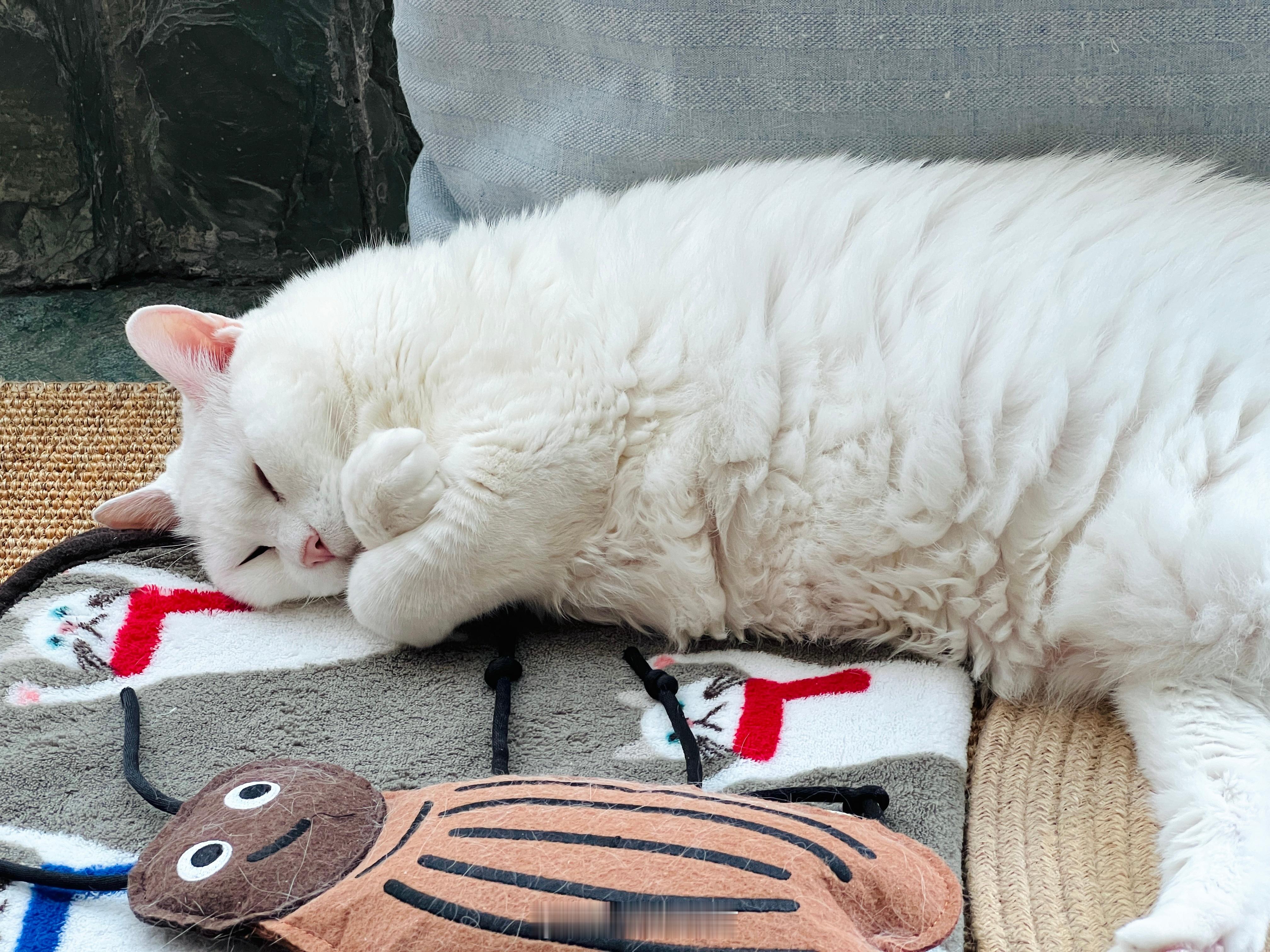 持續高溫，開了空調。吉：媽～偶冷⋯ ​​​