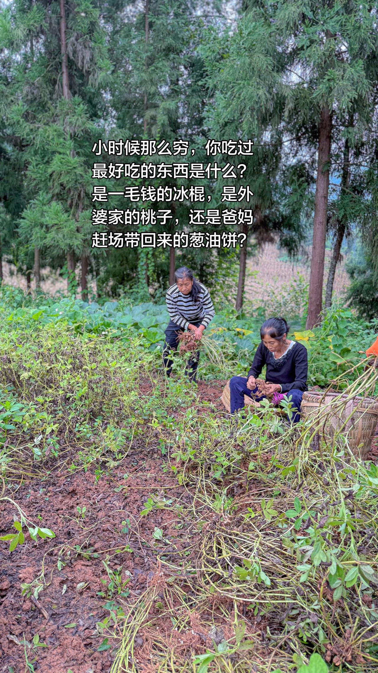 小时候那么穷，你吃过最好吃的东西是什么？是一毛钱的冰棍，是外婆家的桃子，还是爸妈